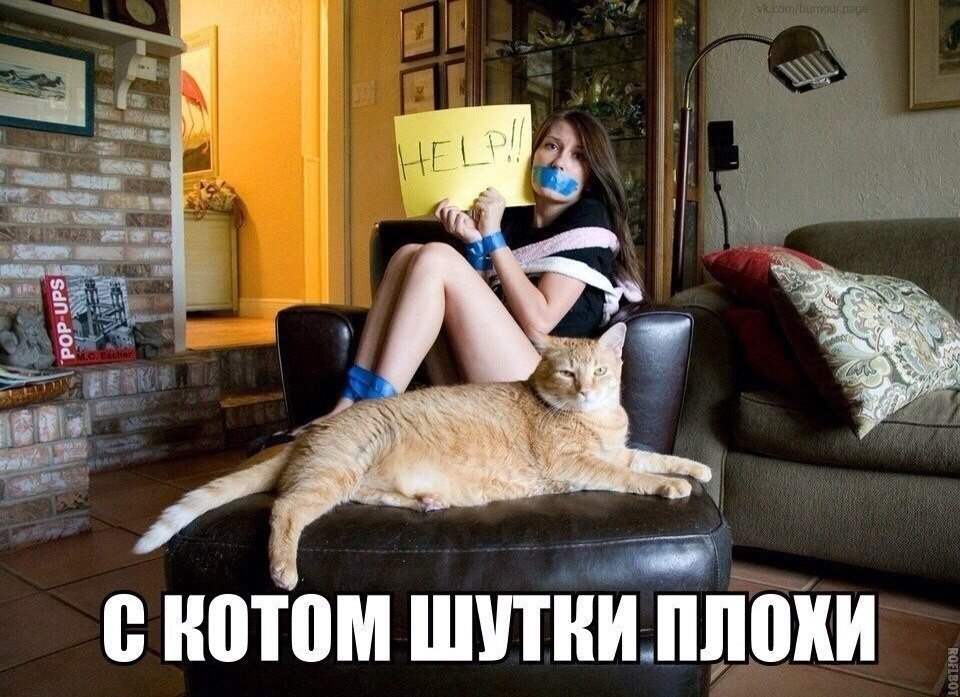 ������������ ���� - 23 ��� 2015 � 09:45