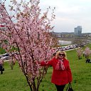 2015 Vilnius    