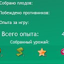 ,  -  2  2015       . 12  2015- ... ..
