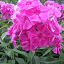  , - -  20  2015    .