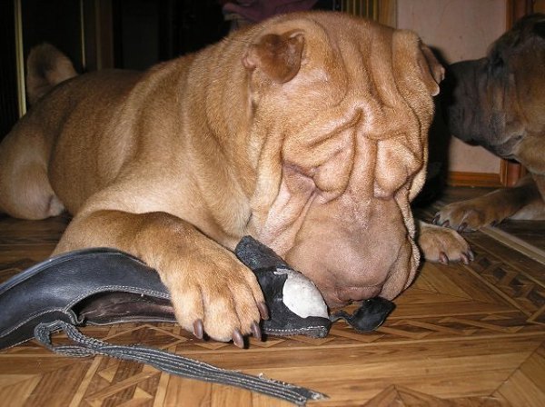     ,   ...        !    ...