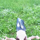 ���� Neonilla, ���� - ��������� 13 ��� 2015 � ������ ���� ����������