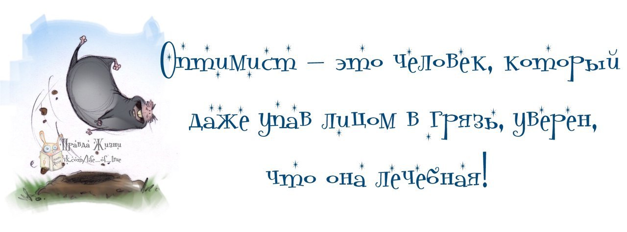 Проблемы оптимизма. Смешные цитаты на каждый день. Оптимистичные выражения. Оптимистичные открытки с юмором. Статусы про оптимизм прикольные.