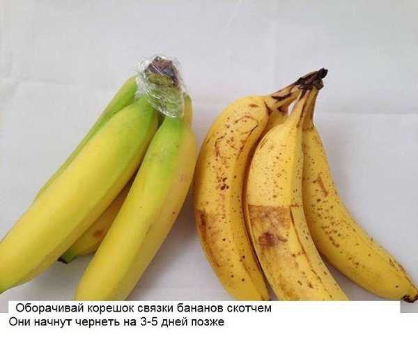 10 хитрых кухонных лайфхака, о которых не знает даже твоя мама. - 6