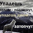 ���� ����, �����, 73 ���� - ��������� 4 ���� 2015 � ������ ������ ��������