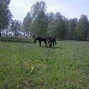 ���� �������, ����������, 56 ��� - ��������� 25 ���� 2015 � ������ ���� ����������