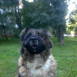 ���� �����, �����������, 48 ��� - ��������� 18 ���� 2015