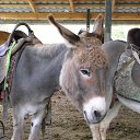  ,  -  18  2015     ,  -  !!!