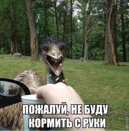 - 12  2015  11:47