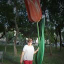 ���� �������, ��������, 64 ���� - ��������� 29 ������� 2015 � ������ ���� ����������