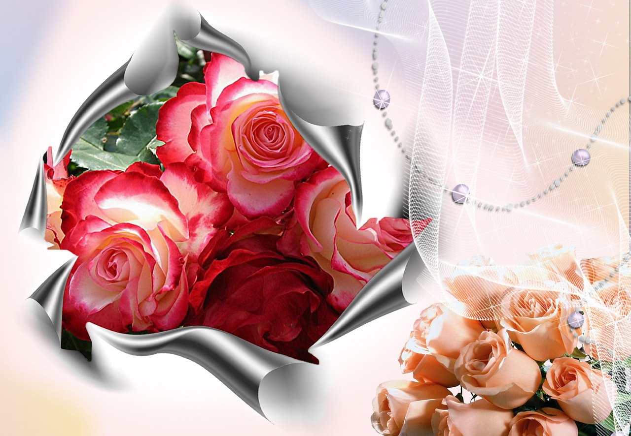 � ����� ���� ���, ��� ������� ������ �� ����. ������� ����� ���� ����� �������� ���� ���. � ����� ...