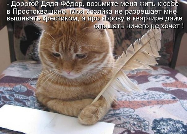       - 10  2015  17:06