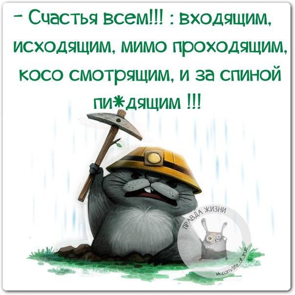 BEST | , ,  - 25  2015  11:00