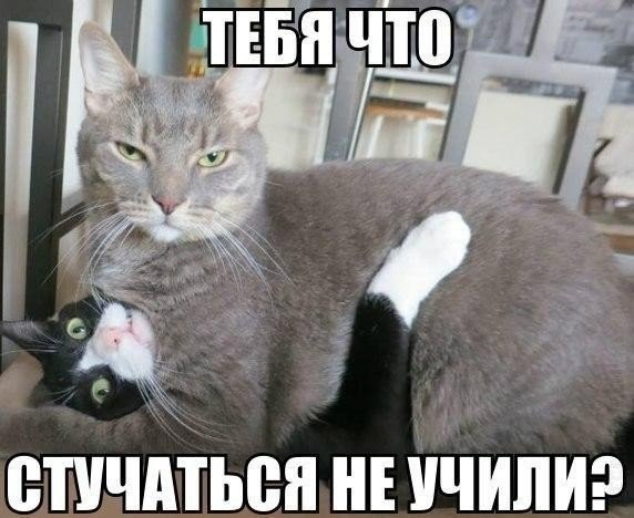       - 6  2015  05:01