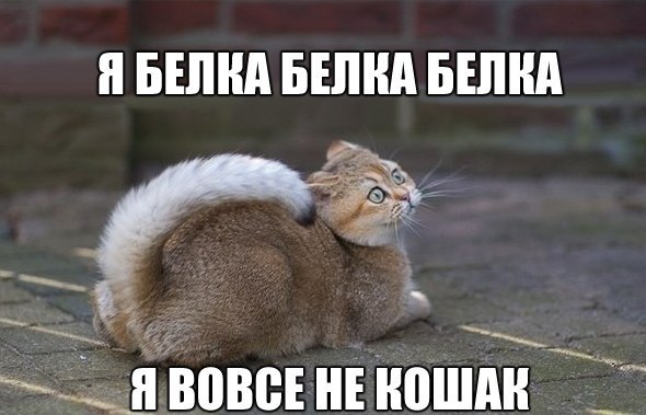   - 5  2015  05:31