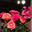 ���� ����, ������, 58 ��� - ��������� 30 ���� 2015