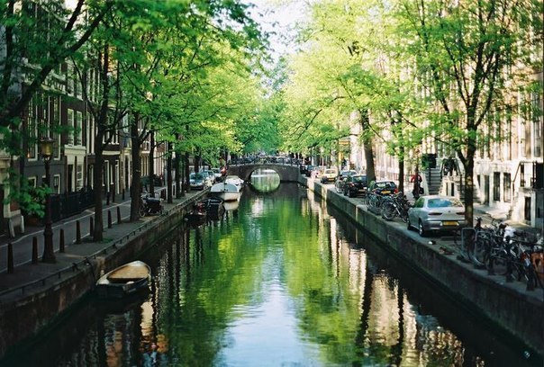 Beautiful Amsterdam - 5
