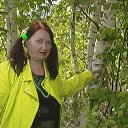 ���� �������, ������ ��������, 67 ��� - ��������� 31 ��� 2015 � ������ ��������� ������� �������