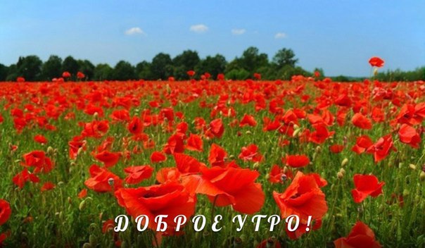     ,    - , ,    ...