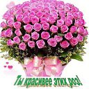 ���� ������, ����������� - ��������� 16 �������� 2015 � ������ ���� ����������