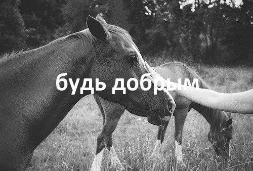    ! - 26  2015  11:40 - 7