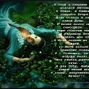 ���� ����, �����, 41 ��� - ��������� 13 �������� 2015 � ������ �Optimus Live.�