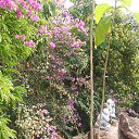    -  ,  -  4  2015    2014.  .  6-.