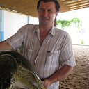 ���� �����, ��������, 58 ��� - ��������� 2 �������� 2015 � ������ ���� ����������