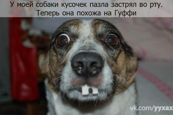     - 7  2015  03:01