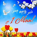 ���� ������, ������, 68 ��� - ��������� 30 ������ 2015 � ������ �������� ��������