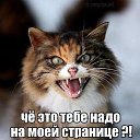 ���� ������, ���������� - ��������� 10 �������� 2015 � ������ ������ ��������