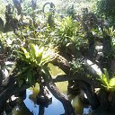    -  ,  -  31  2015   .  2015.  .  6-.