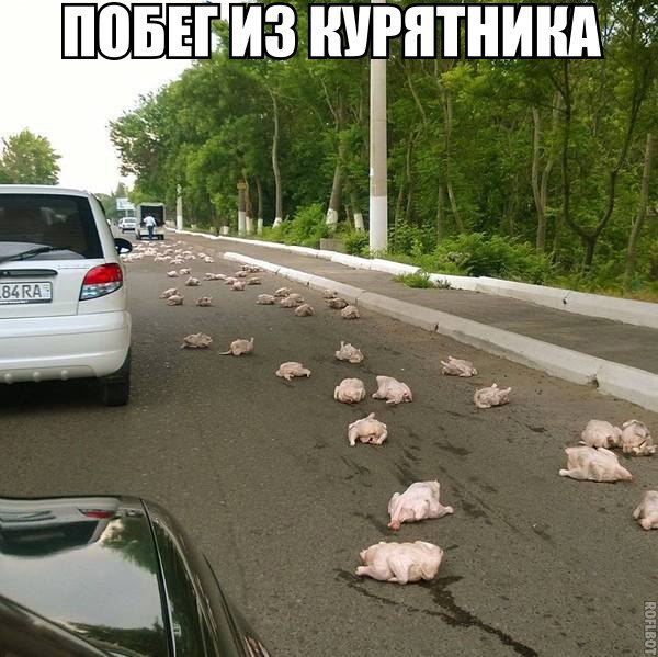  | , ,  - 15  2015  20:02