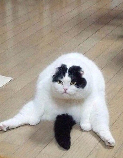 : "  !" :