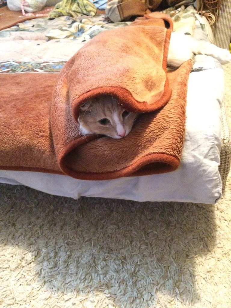 !  !!!