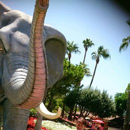 ���� ���������, ��������, 57 ��� - ��������� 8 ������� 2015