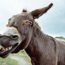 ���� ���������, �����, 85 ��� - ��������� 1 ��� 2015 � ������ ������ ��������