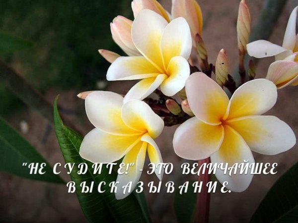 ��� ����� - ��� ������.��� ������!� � ��� ���������� ������������. � ��� ����� ����������� ��� ���. ...