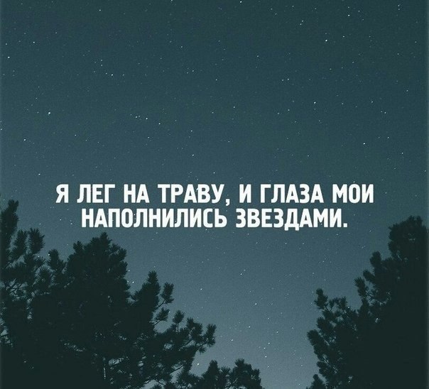 LIFE -  - 21  2015  15:28