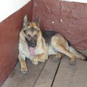 ���� �������, ���������, 40 ��� - ��������� 6 ���� 2015 � ������ ������ ��������