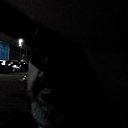  Alex, , 59  -  15  2015    