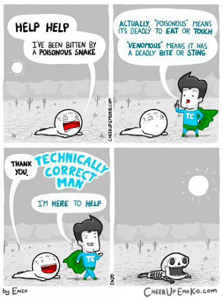 Technically Correct Man