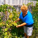 ���� ����, �������, 71 ��� - ��������� 8 ������� 2015 � ������ ���� ����������