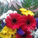 ���� �����, �������, 57 ��� - ��������� 3 ��� 2015 � ������ ���� ����������