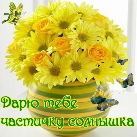 <a href=