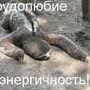 ���� �������, �����-���������, 53 ���� - ��������� 5 ���� 2015 � ������ ���� ����������