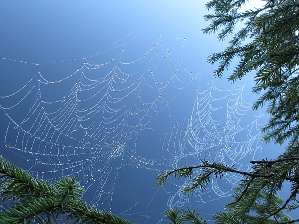 Oleg - 27  2015  17:51 - 4