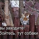 ���� T���, ��������, 71 ��� - ��������� 1 �������� 2015 � ������ ������ ��������