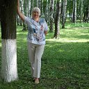 ���� ����, ������ - ��������� 29 ������� 2015 � ������ ���� ����������