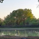 ���� ���� ���������� ��������������, ������� - ��������� 5 ��� 2015 � ������ ���� ����������